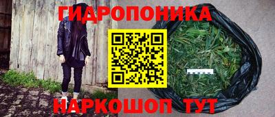 стафф Абакан