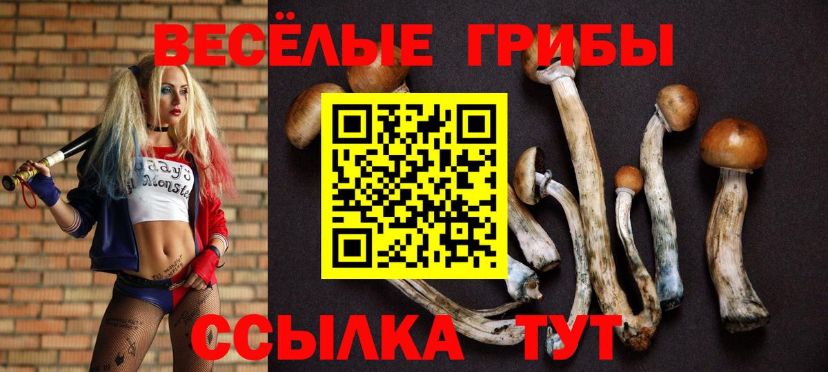 Галлюциногенные грибы прущие грибы Алексеевка